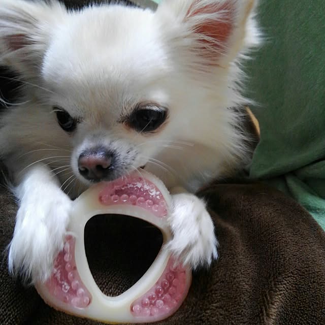 okuriさんの実例写真