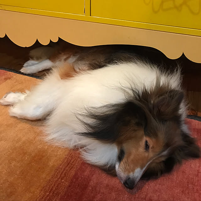 kcochawさんの実例写真