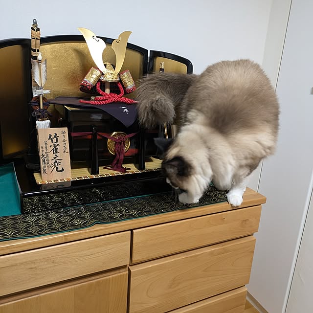 TOMさんの実例写真