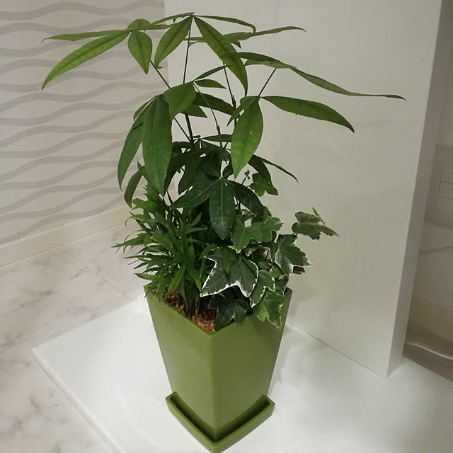 pootanさんの実例写真