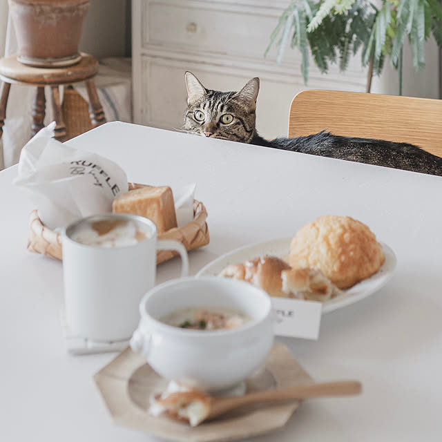 oliveさんの部屋
