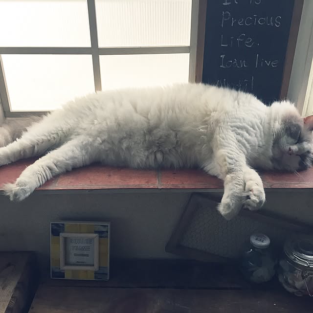 runtenさんの実例写真