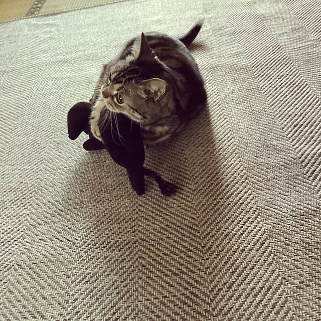 richanさんの部屋