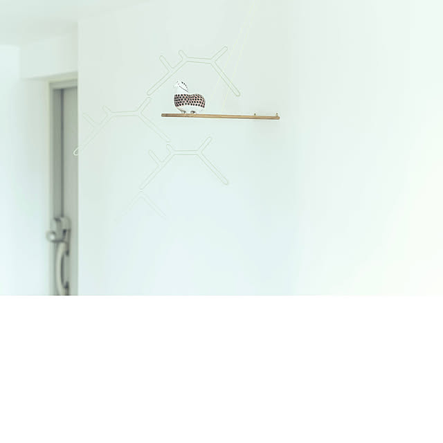 hinatabirdさんの部屋