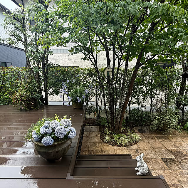 Yumiさんのお部屋の写真