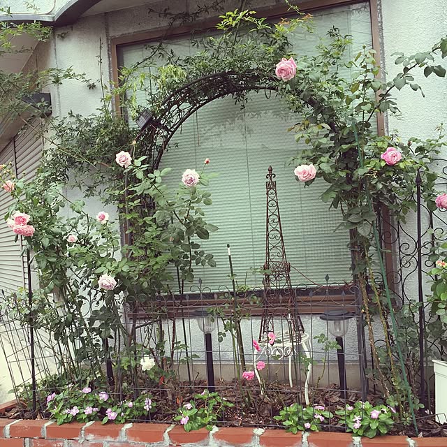 greenroseさんの実例写真