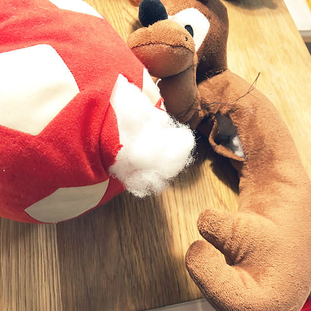 suzyさんの実例写真