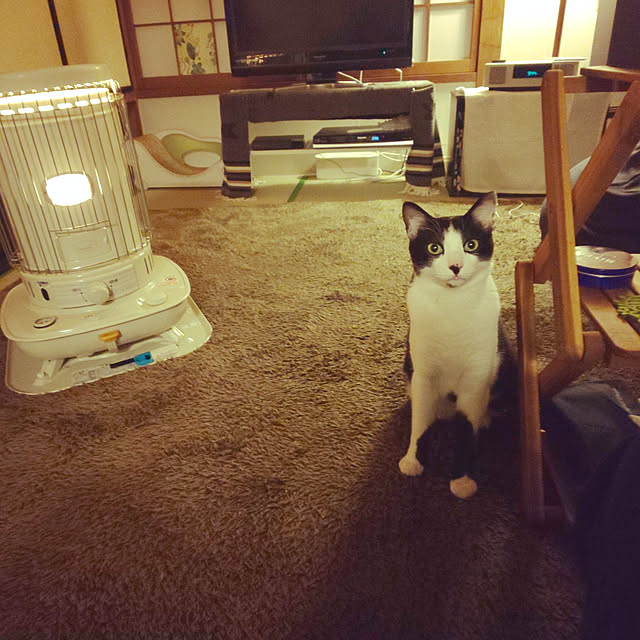 oseroさんの実例写真