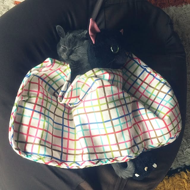 Shojiさんの実例写真