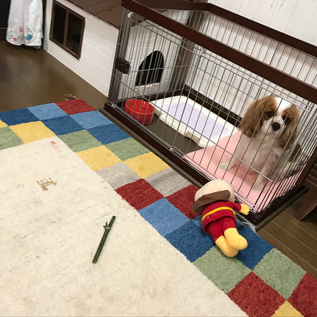 pepeさんの実例写真