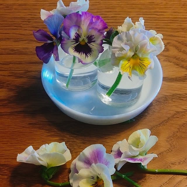 kerochanさんの部屋