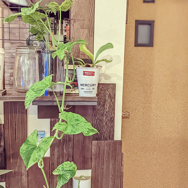 GINさんの実例写真