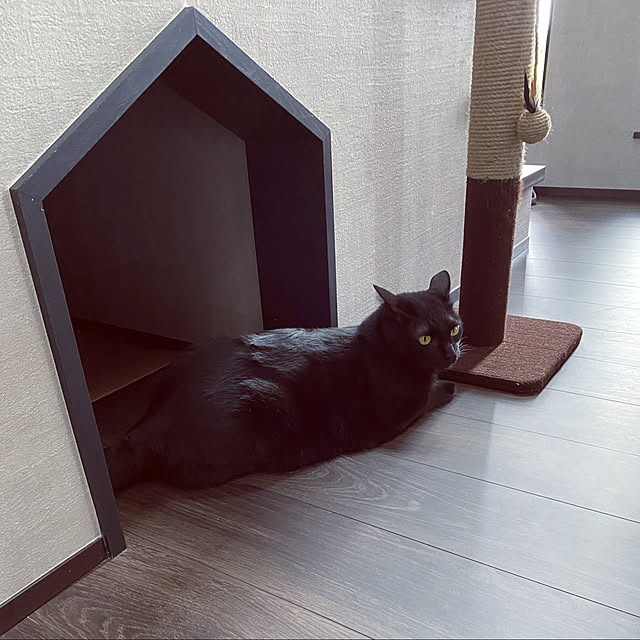 azk.121さんの実例写真