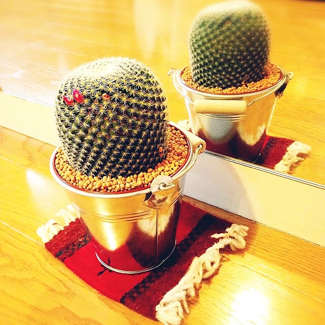 A.Yさんの実例写真
