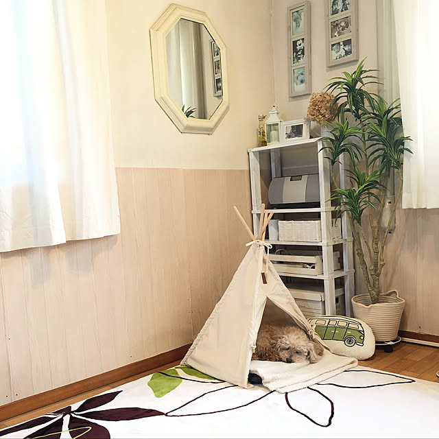yukarimamaさんの実例写真