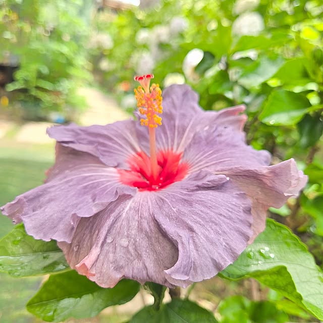 min_nimさんの実例写真