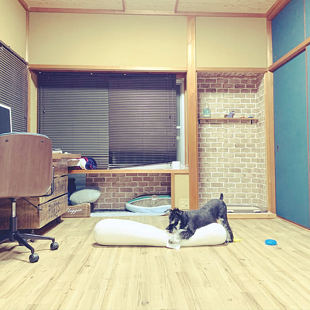 実例写真