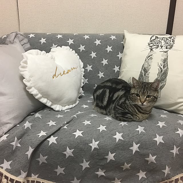 tomommyさんの実例写真