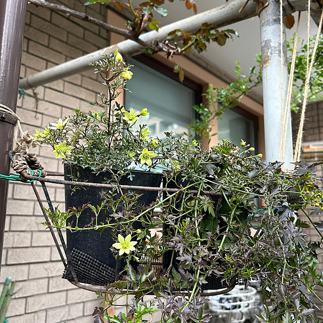 botanさんの部屋