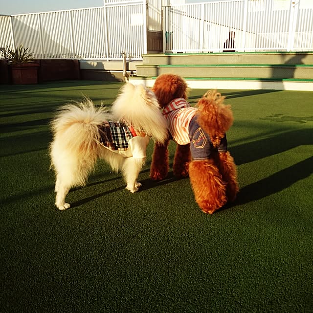 yukaさんの実例写真