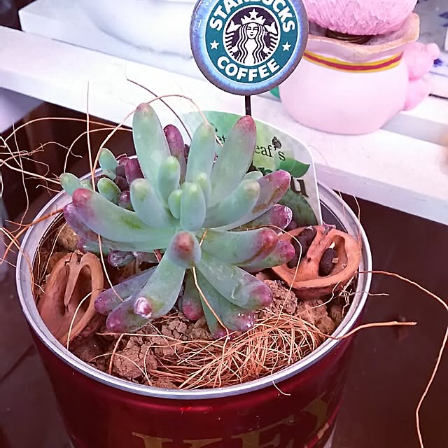 catriene0123さんの実例写真