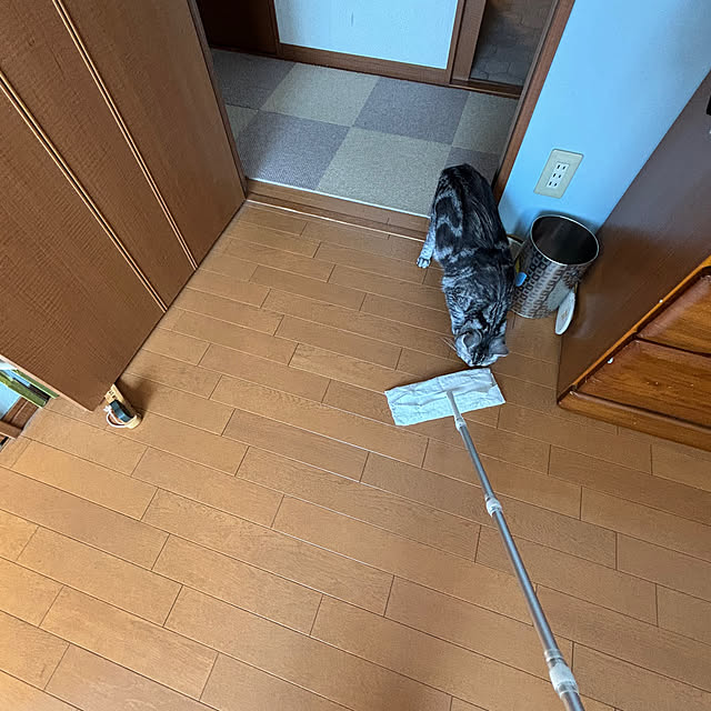 yuzuaoさんの実例写真