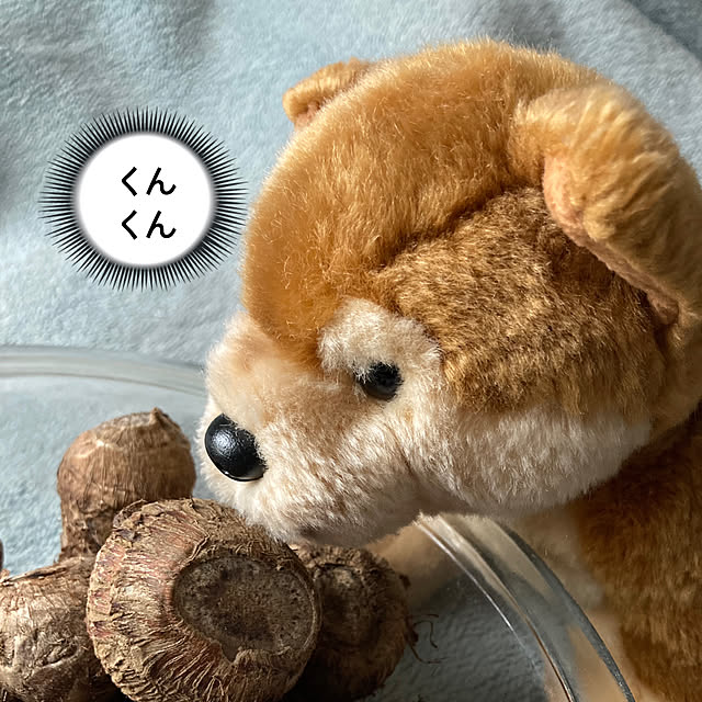manduonmaさんの部屋
