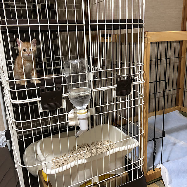 Atelier.mさんの実例写真