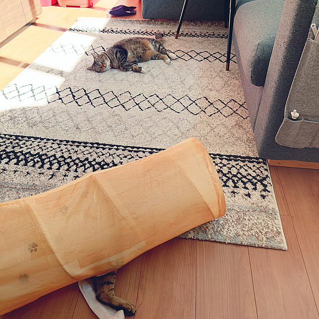 mochicoさんの実例写真