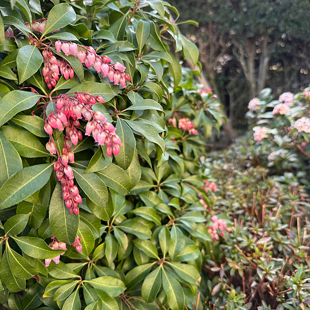 mamizaさんの部屋