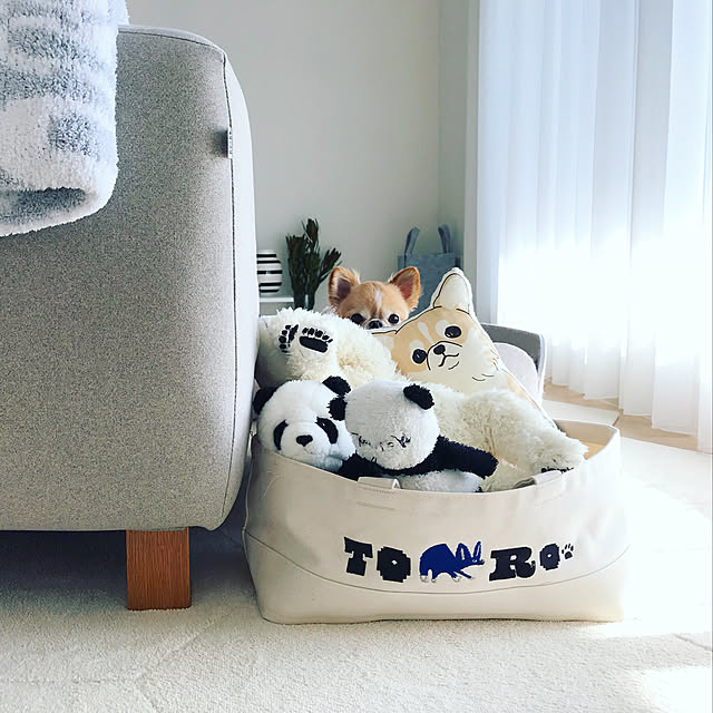 haruhinaさんの実例写真