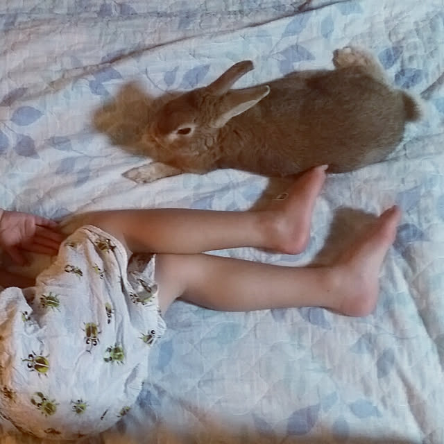 rabbitさんの実例写真