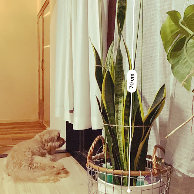 tyamaさんの部屋