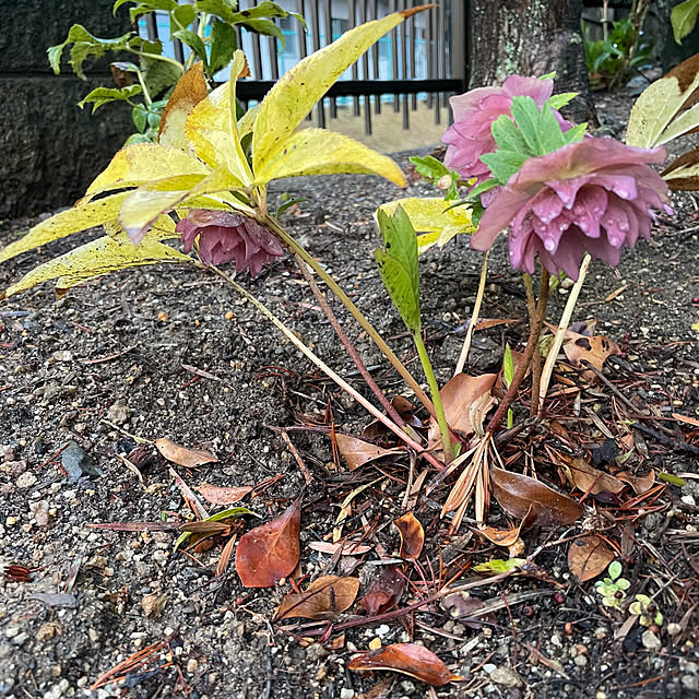 shin0719さんの部屋