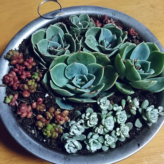 tikuwaさんの実例写真