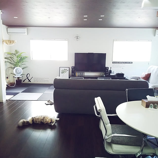 実例写真