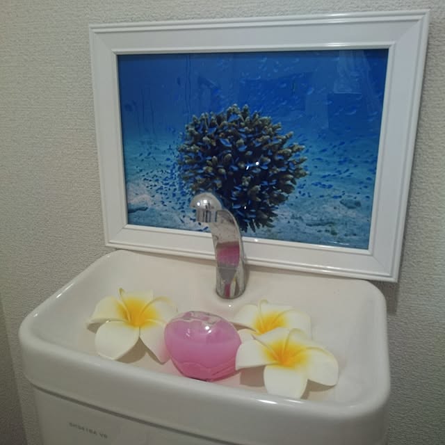 Mizukiさんの実例写真