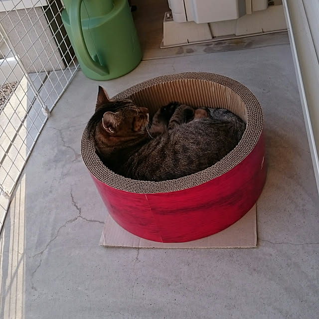lilyさんの実例写真