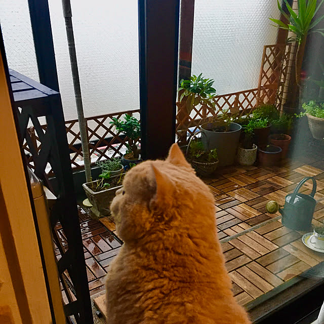 naokoさんの部屋