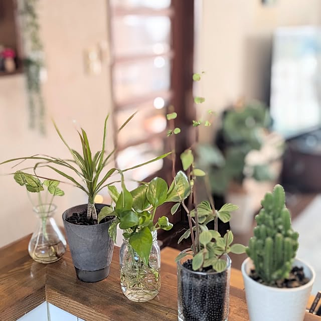 naoporonさんの実例写真