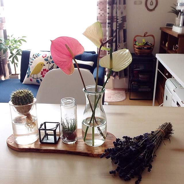 yapingさんの実例写真
