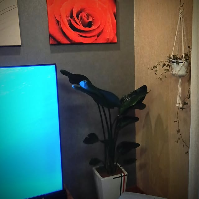 atsushiy_4482さんの実例写真