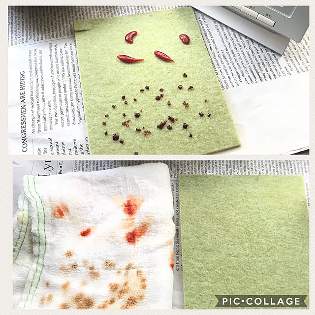 miporinさんの実例写真