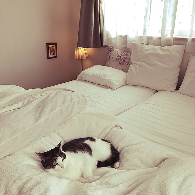 eioさんの実例写真