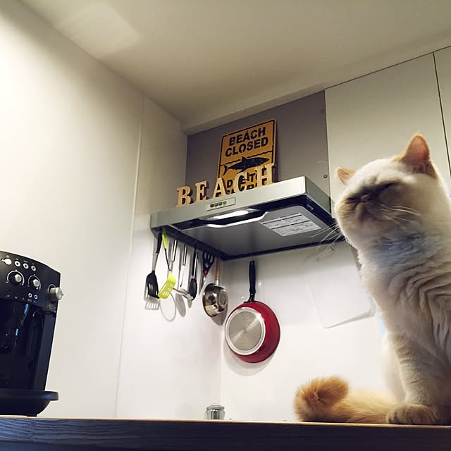 warabimochiさんの実例写真