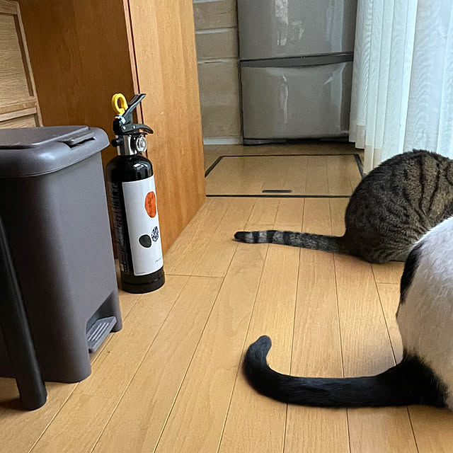 nobikoさんの部屋