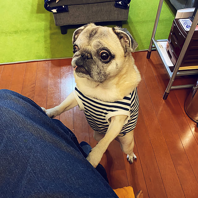 kellyさんの実例写真