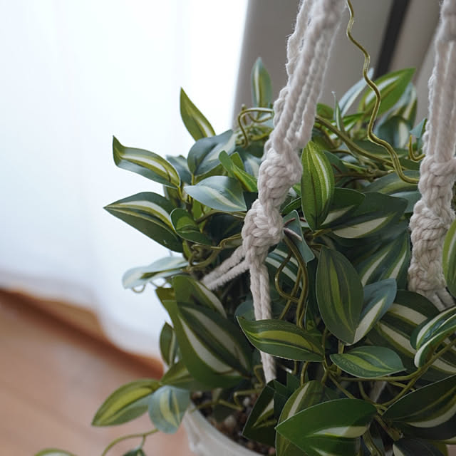 kinokinoさんの部屋