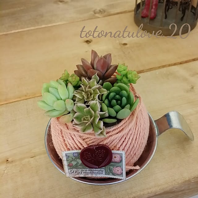 totonatuloveさんの実例写真