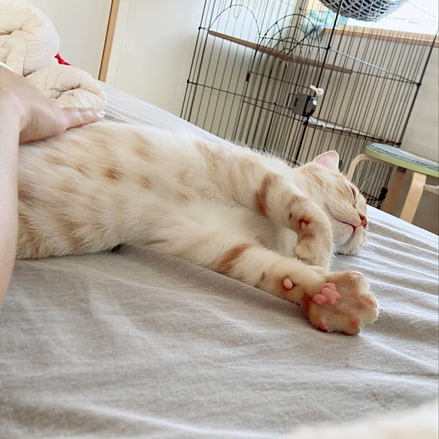 m.k.mさんの実例写真